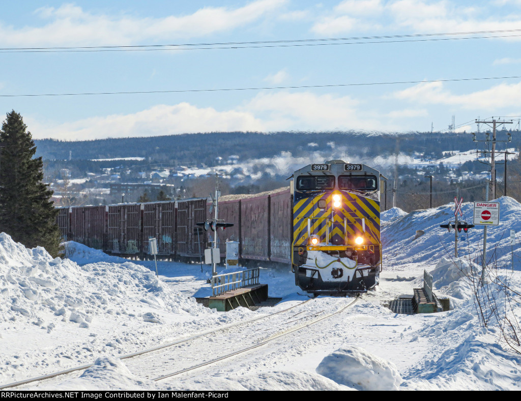 CN 3979 leads 403